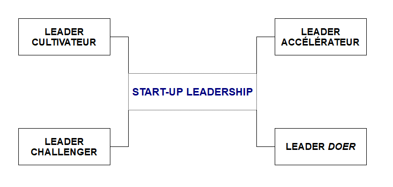 Tesla - Startup leadership